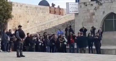 103 مستوطنين يقتحمون باحات المسجد الأقصى