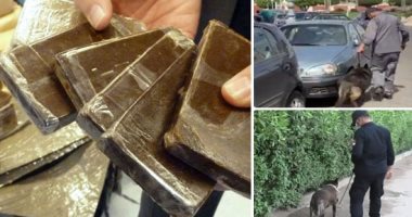 إحالة متهم بالإتجار فى المخدرات وتصنيع الفودو بالبساتين للجنايات