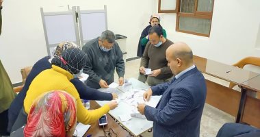 بيان إحصائى لـ14 لجنة فرعية بالمنوفية..عبد الهادى فتحى 15 ألف صوت ومحى الدين 13 ألف