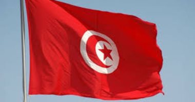 تونس تؤكد الحرص على استكمال إرساء الهيئات الدستورية المعنيّة بحماية الحُقوق والحريّات