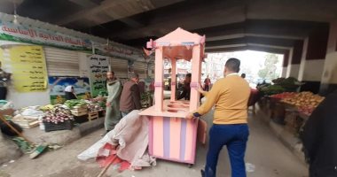 تعرف على مجهودات حملات إزالة الإشغالات بالبحيرة والمنوفية.. صور