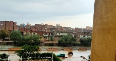 سقوط أمطار غزيرة على محافظة الشرقية..صور