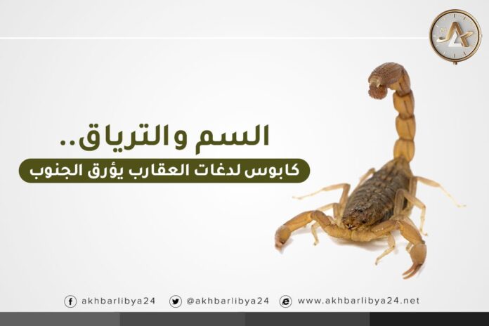 إنفوغرافيك ا السم والترياق.. كابوس لدغات العقارب يؤرق أهالي الجنوب