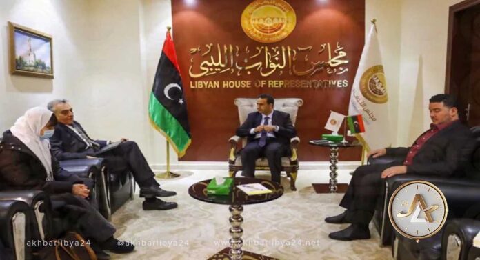 النويري يبحث مع السفير الإيطالي آخر المستجدات السياسية في ليبيا