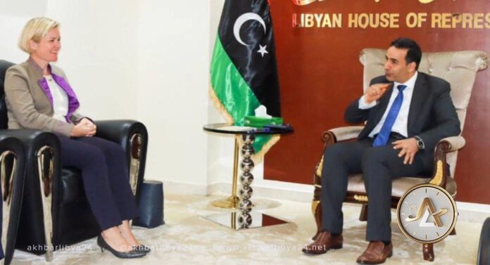النويري يلتقي هورندال لبحث آخر المستجدات